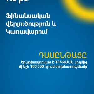 Financial Analysis and Management