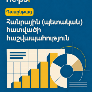 Հանրային(Պետական) հատվածի հաշվապահություն